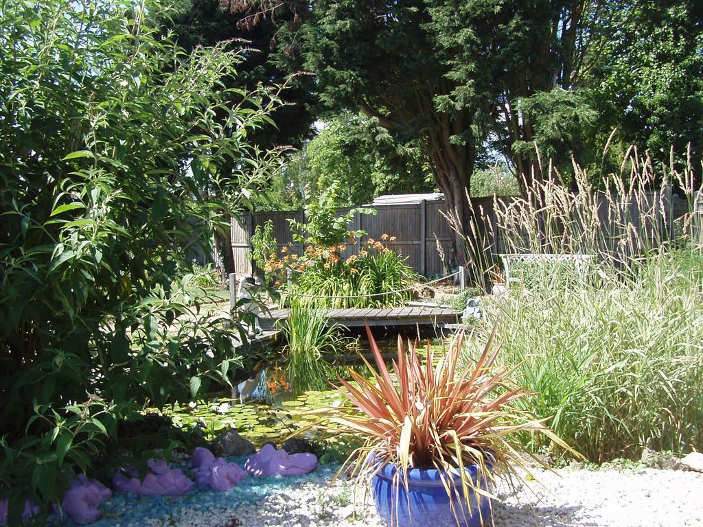 Hillview Bed And Breakfast 체스트필드 외부 사진